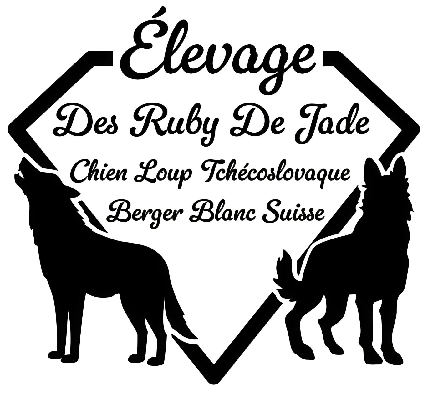 Suivez nous sur les réseaux pour ne rien manquer !