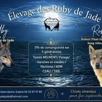 MARIAGE UBY ET ROBERTO