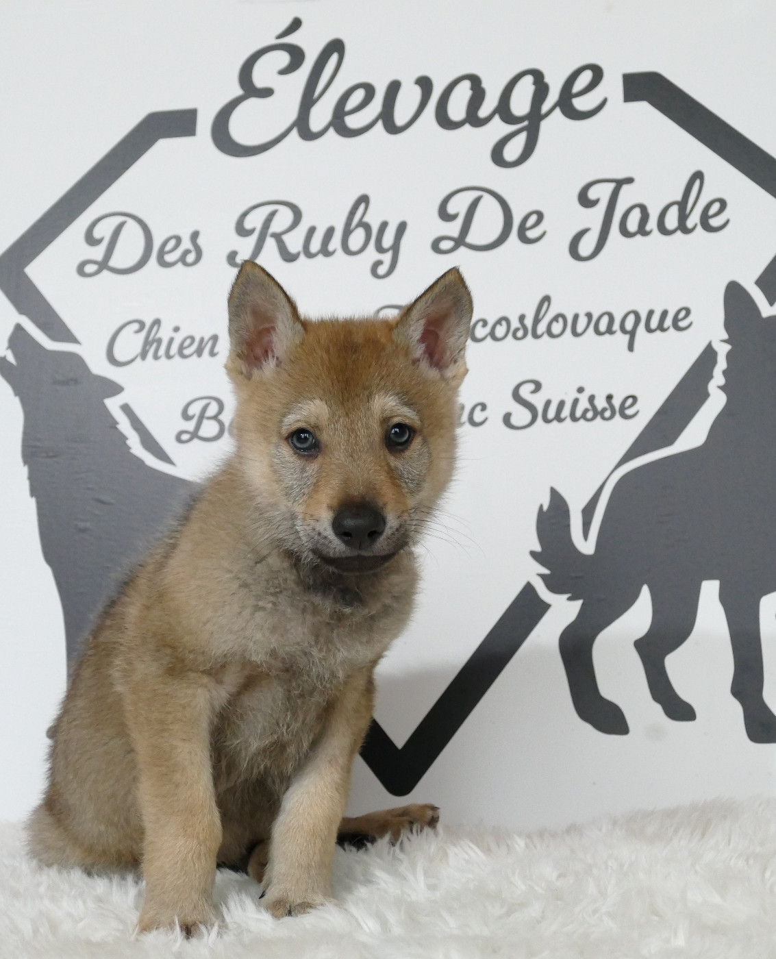 Portée 2025 Ruby x Roberto