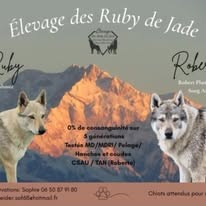 MARIAGE RUBY ET ROBERTO